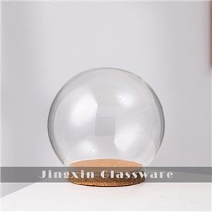 โดมแก้วลูกโลก